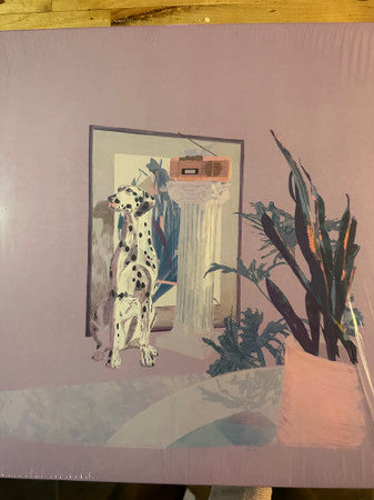 Abracadabra (20) :  shapes & colors (12", Ltd)