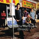 The Wallflowers : Breach (CD, Album, Enh, Ltd)