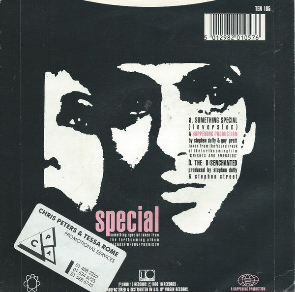 Stephen Duffy And Sandii : Something Special (7", Single)