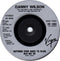 Danny Wilson (2) : Never Gonna Be The Same (7", Single)