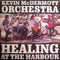 Kevin McDermott Orchestra : Healing At The Harbour (7", Single)