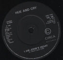 Hue & Cry : Ordinary Angel (7", Single, Pap)