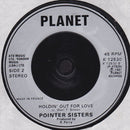 Pointer Sisters : Slow Hand (7", Single, Sil)