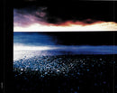 Basia : Clear Horizon - The Best Of Basia (CD, Comp)