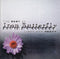 Iron Butterfly : Light And Heavy: The Best Of Iron Butterfly (CD, Comp, RE, RM)