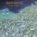 Spirits Burning : Crazy Fluid (CD, Album)