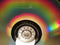 Joe Jackson : The Collection  (CD, Comp, RE)