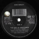 Don Henley : The End Of The Innocence (7", Single)