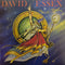 David Essex : Imperial Wizard (LP, RE)
