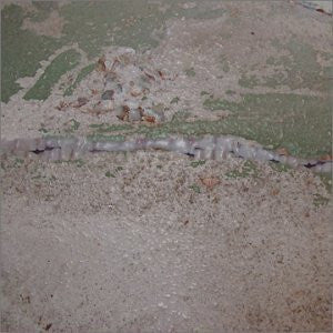 The John Francis : Seeking A Deep Feeling (CD, Album)