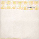 Ty : The Nonsense (12")