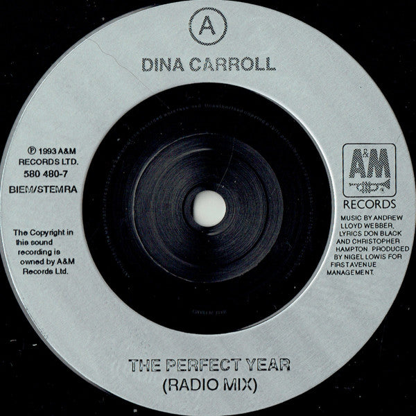 Dina Carroll : The Perfect Year (7", Single)