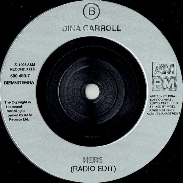 Dina Carroll : The Perfect Year (7", Single)