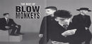 The Blow Monkeys : The Best Of Blow Monkeys (CD, Comp)