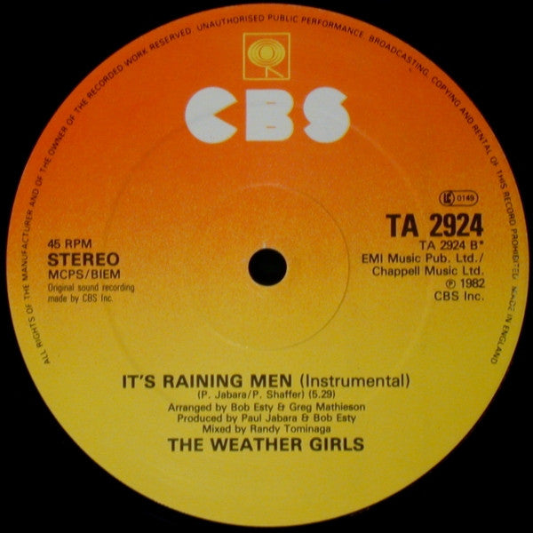 The Weather Girls : It's Raining Men / I'm Gonna Wash That Man Right Outa My Hair (Special Version) (12")