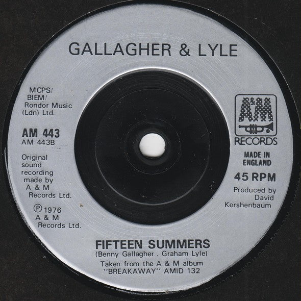 Gallagher & Lyle : You Put The Heart Back In The City (7", Single)