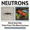 The Neutrons : Black Hole Star / Tales From The Blue Cocoons (CD, Comp)