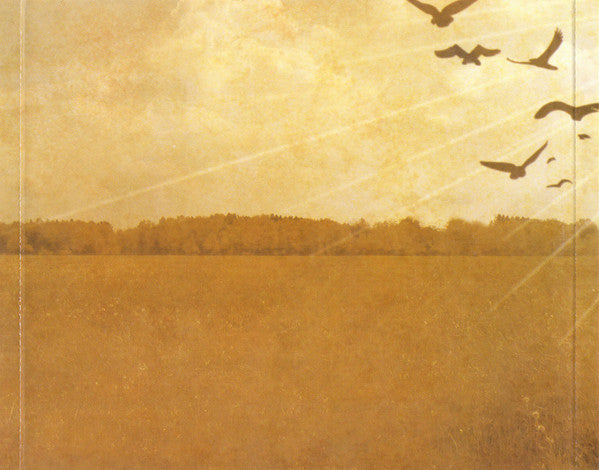 Taking Back Sunday : A Decade Under The Influence (CD, Single, Enh)