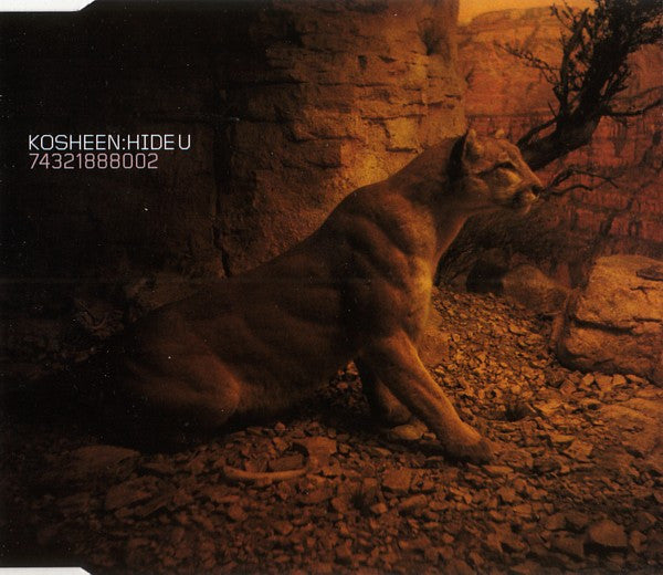 Kosheen : Hide U (CD, Single)