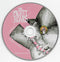 The Mighty Roars : Sellotape (CD, Single)