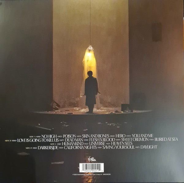 David Kushner (2) : The Dichotomy (2xLP, Album, Ltd, Gol)