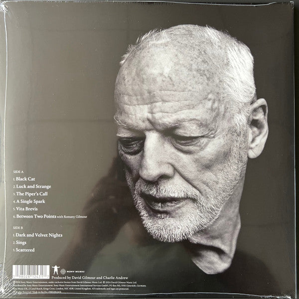 David Gilmour : Luck And Strange (LP, Album, Ora)