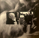 David Gilmour : Luck And Strange (LP, Album, S/Edition, Whi)