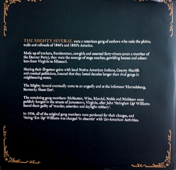 Paul Heaton : The Mighty Several (LP, Album, Gat)
