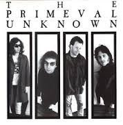 The Primeval Unknown : The Primeval Unknown (LP, Album)