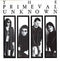 The Primeval Unknown : The Primeval Unknown (LP, Album)