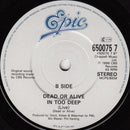 Dead Or Alive : Brand New Lover (7", Single)