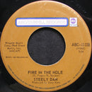 Steely Dan : Do It Again / Fire In The Hole (7", Single)