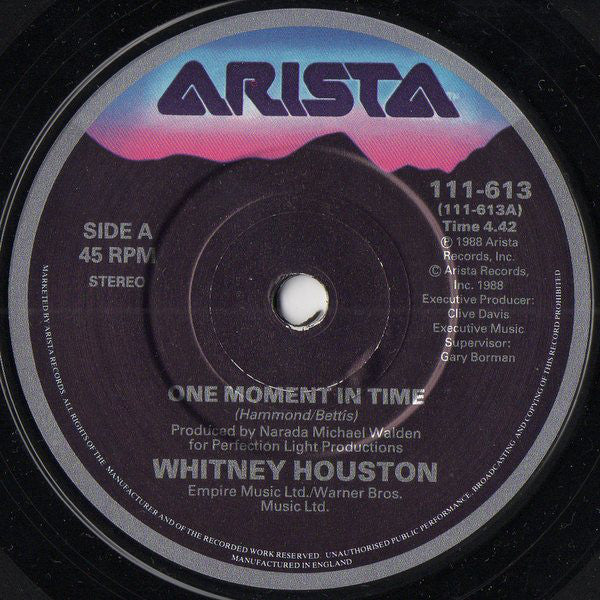 Whitney Houston : One Moment In Time  (7", Single)