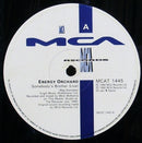 Energy Orchard : Somebody's Brother (12", EP)
