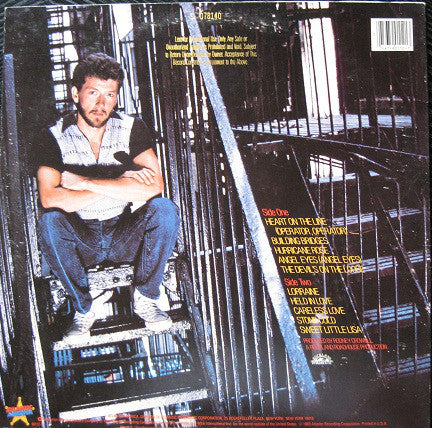 Larry Willoughby : Building Bridges (LP, Album)