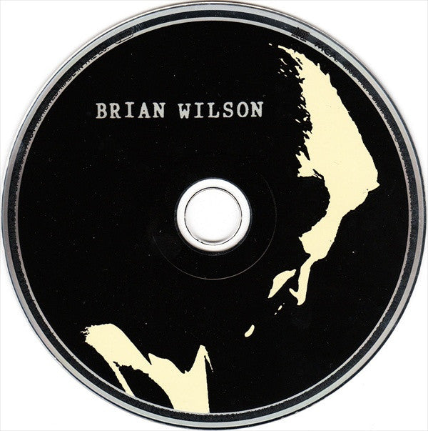 Brian Wilson : I Just Wasn't Made For These Times (CD, Album)