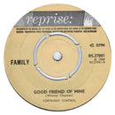 Family (6) : No Mule's Fool (7", Single, 4 P)