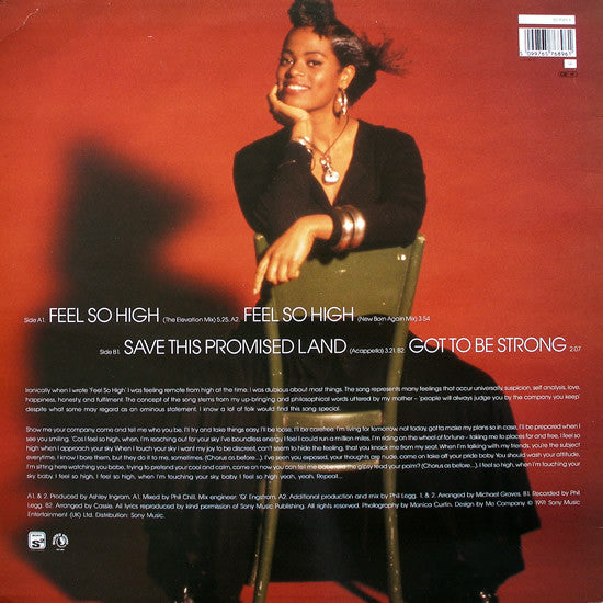 Des'ree : Feel So High (12")