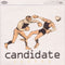 Candidate : Leader (CD, Single)