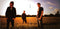 InMe : Daydream Anonymous (CD, Album)