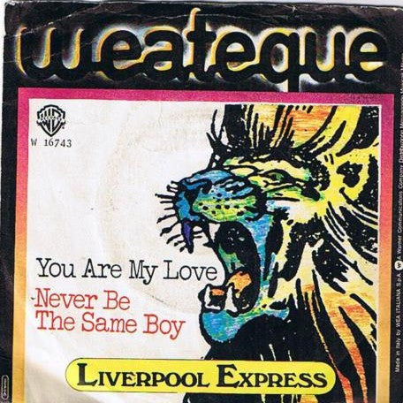 Liverpool Express : You Are My Love / Never Be The Same Boy (7")