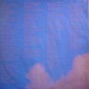 Dire Straits : Brothers In Arms (LP, Album)