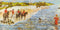 Genesis : Foxtrot (CD, Album, RE, RM)