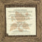 Various : Essential Glastonbury (CD, Comp)