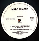 Marc Almond : Something's Gotten Hold Of My Heart (12", Promo)