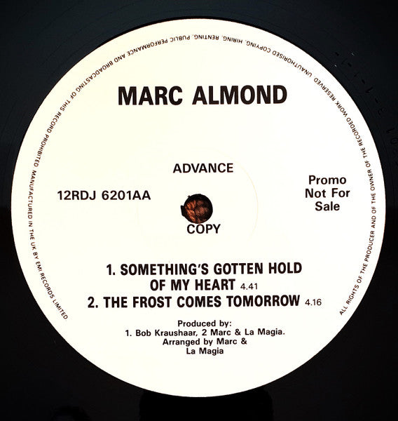 Marc Almond : Something's Gotten Hold Of My Heart (12", Promo)