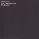 The Auteurs : How I Learned To Love The Bootboys (CD, Album)