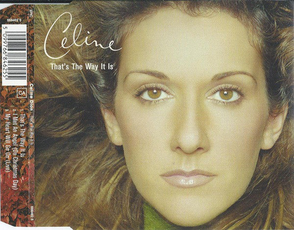 Céline Dion : That's The Way It Is (CD, Single)