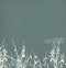 The Shins : Oh, Inverted World (LP, Album)