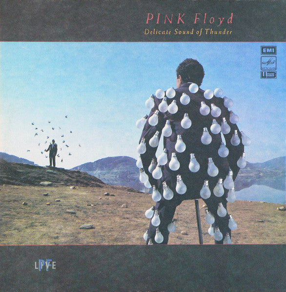Pink Floyd : Delicate Sound Of Thunder (2xLP, Album, RP, Gat)